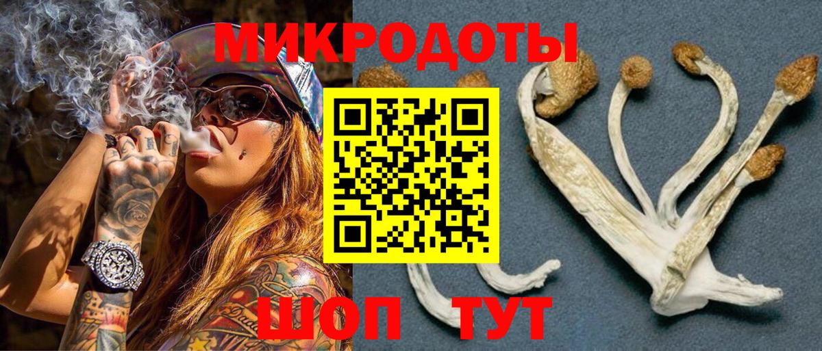 Ревда  Псилоцибиновые грибы MAGIC MUSHROOMS  Вход с VPN 
